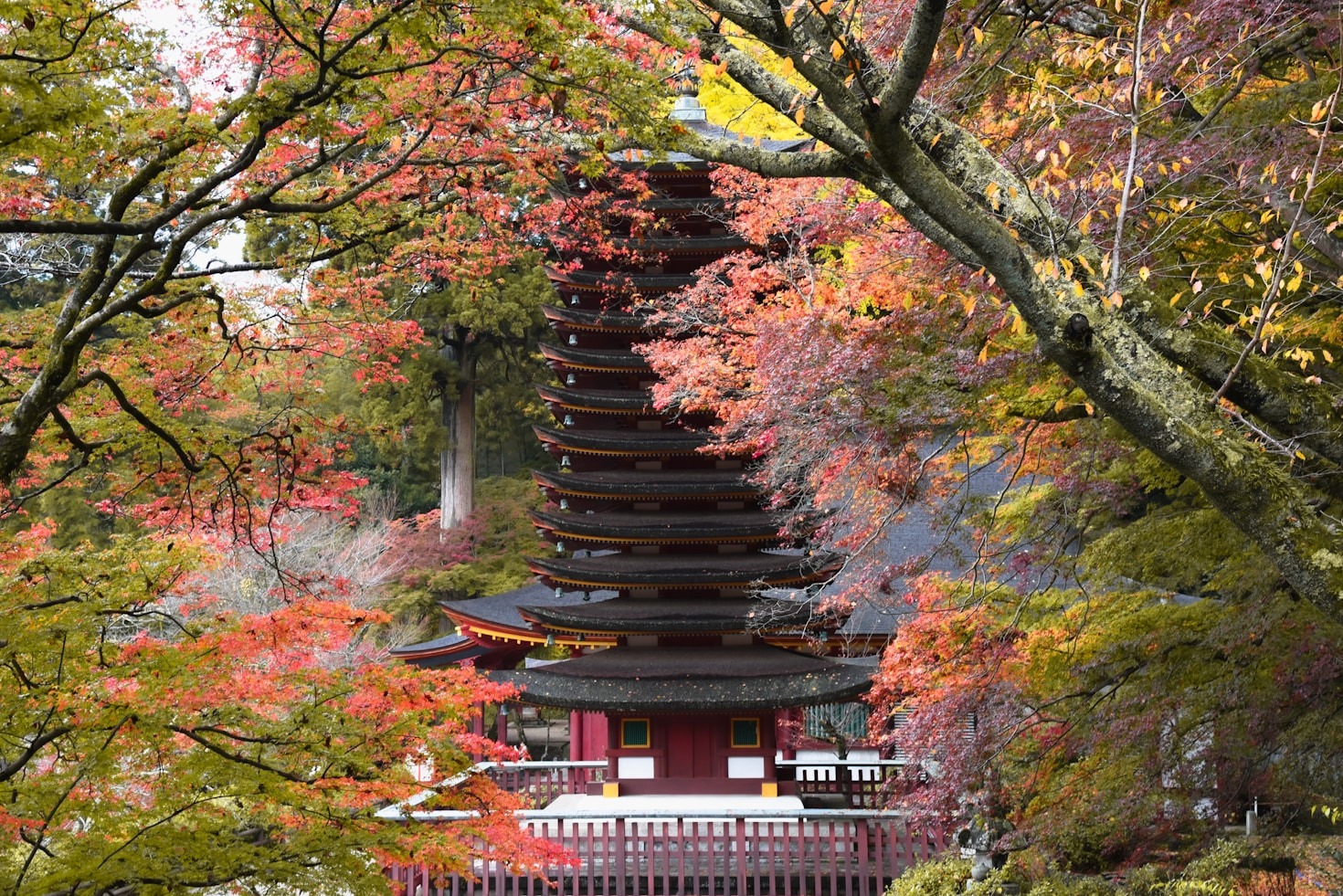 プロのカメラマンが捉える特別な日の瞬間